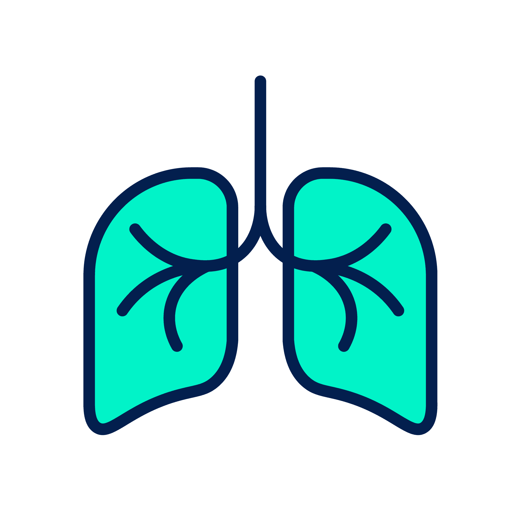 Sistema Respiratorio